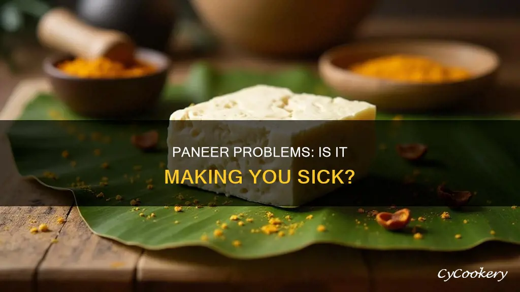 can paneer make you sick