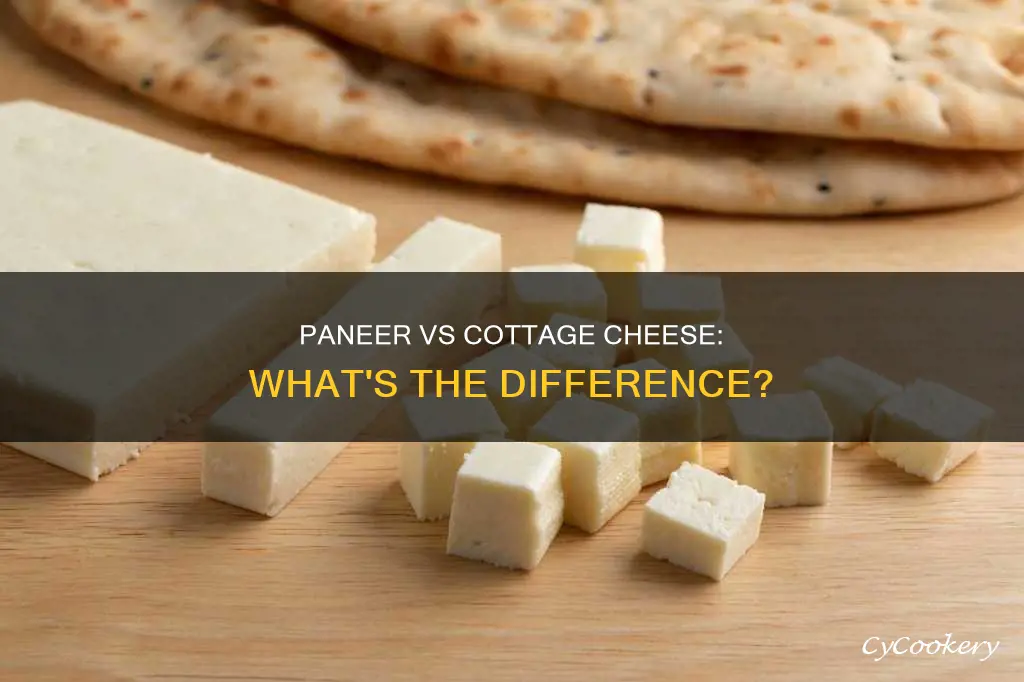 can paneer substitute cottage cheese