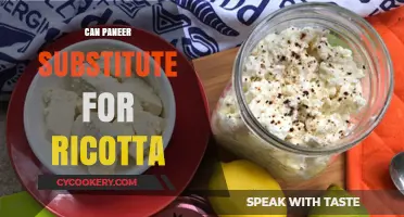 Paneer vs Ricotta: Can You Substitute One for the Other?