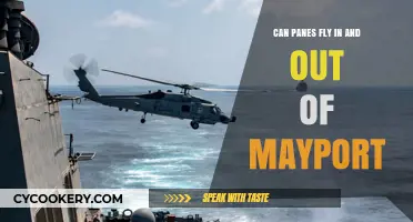 Panes' Flight Operations: Mayport's In-and-Out Accessibility