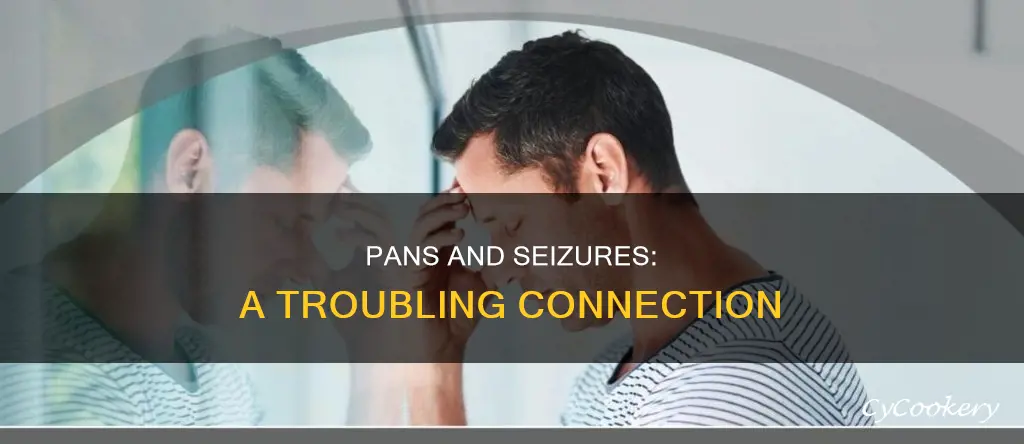 can pans cause seizures