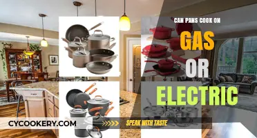 Pans for All: Gas or Electric?