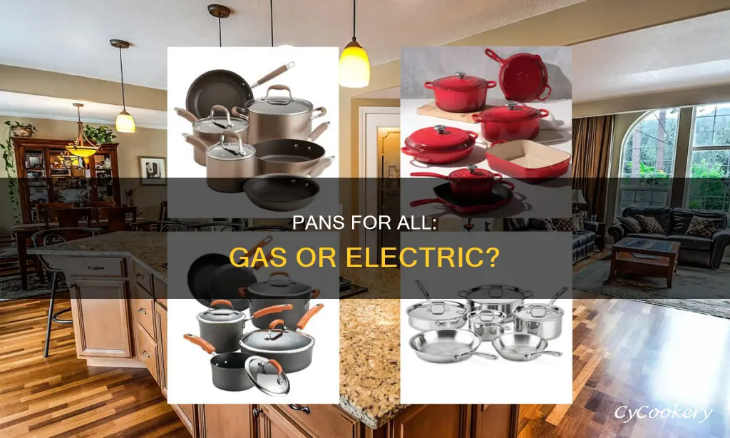 can pans cook on gas or electric