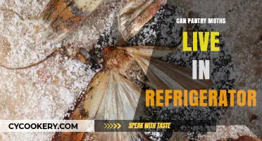 Can Pantry Moths Survive in Your Refrigerator? The Truth Revealed