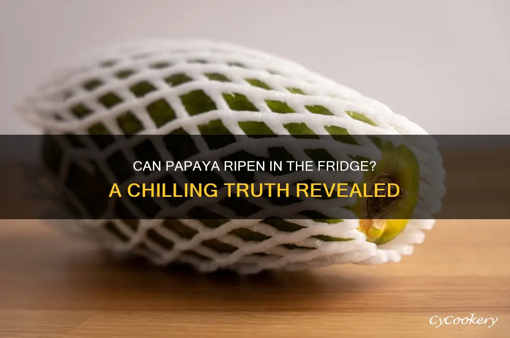 can papaya ripen in the refrigerator