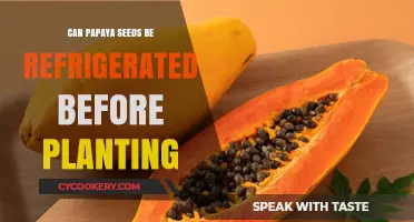 Refrigerating Papaya Seeds: A Pre-Planting Strategy for Better Germination