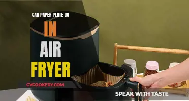 Air Fryer and Paper Plates: Safe or Not?