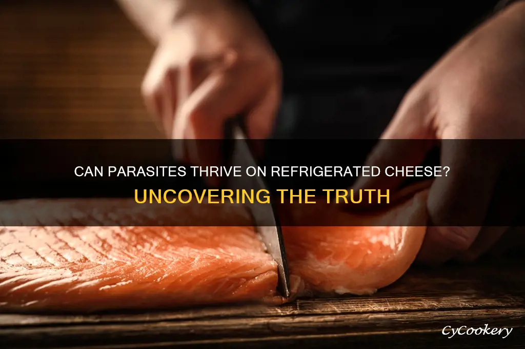 can parasites grow on refrigerated cheese