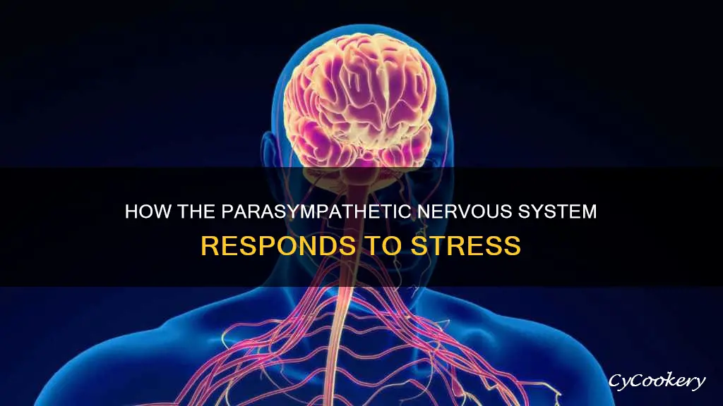 can parasympathetic nervous system feel pan
