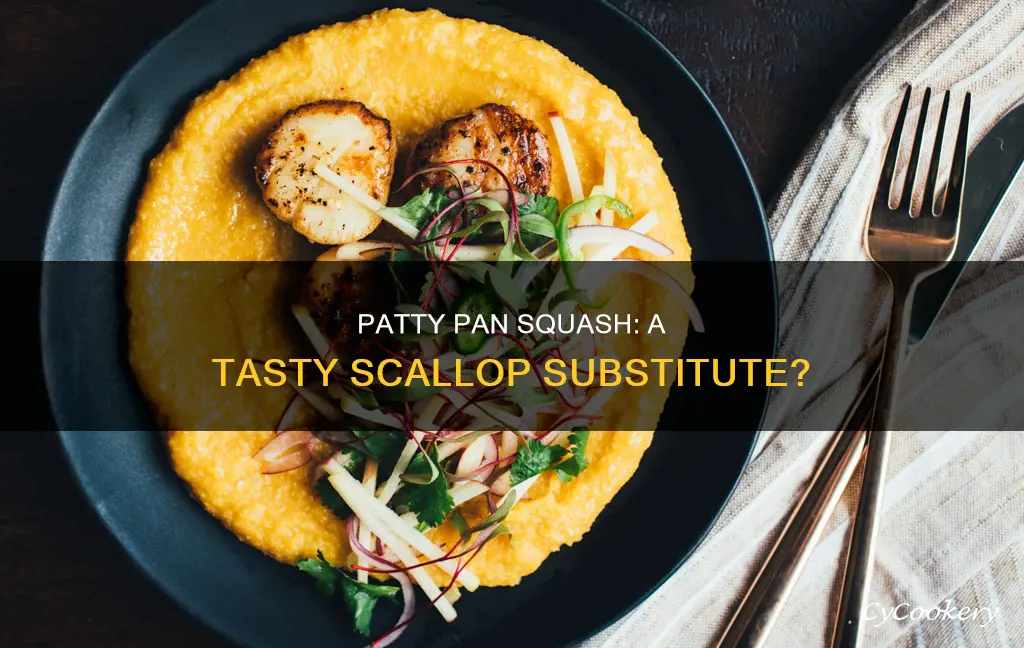 can patty pan squash looe scallops