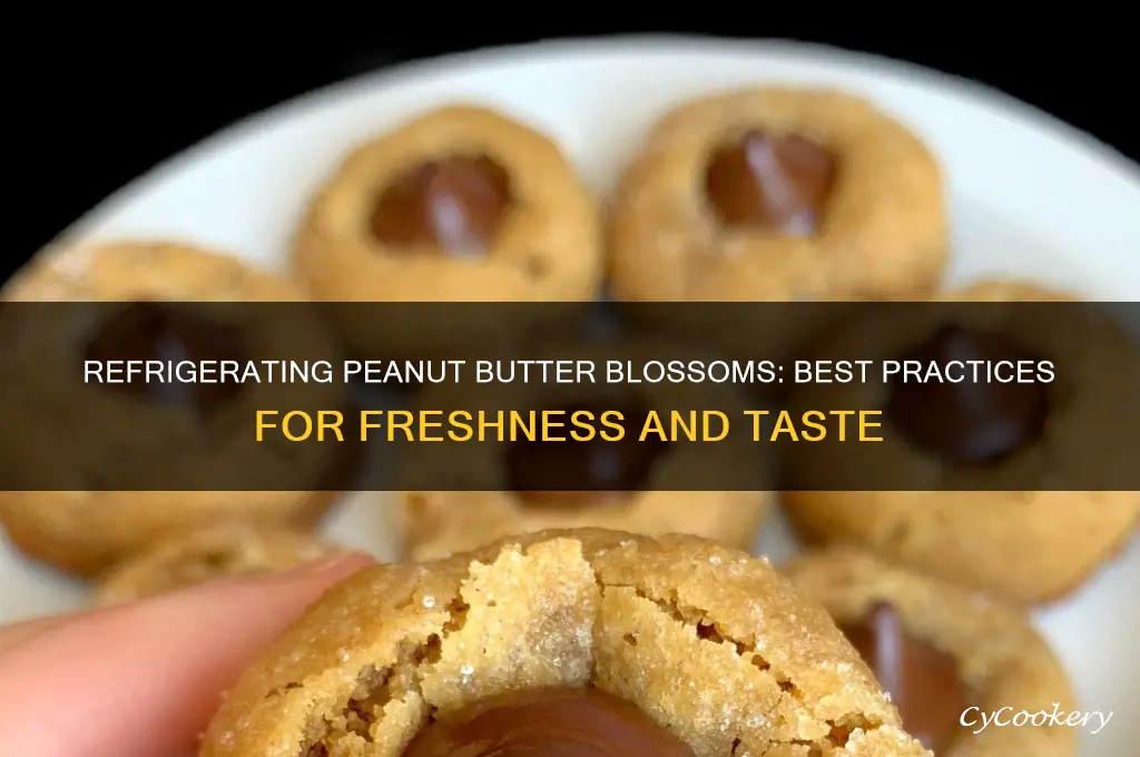 can peanut butter blossoms be refrigerated