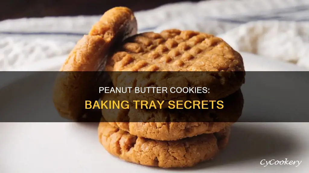 can peanut butter cookies cook in cookie pans