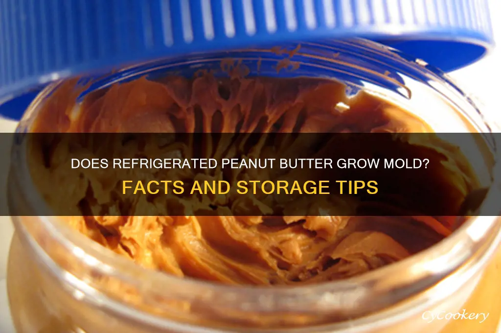 can peanut butter get moldy in refrigerator
