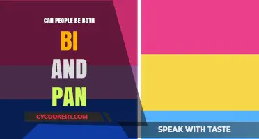 Understanding Bisexuality and Pansexuality: Exploring Similarities and Differences