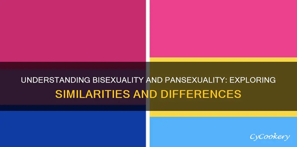 can people be both bi and pan