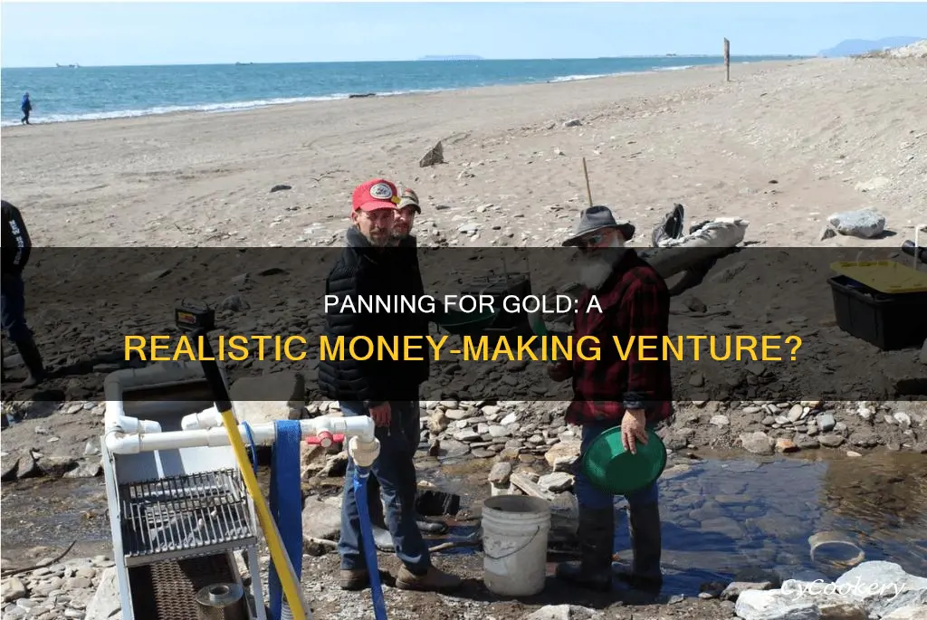 can people make money panning for gold