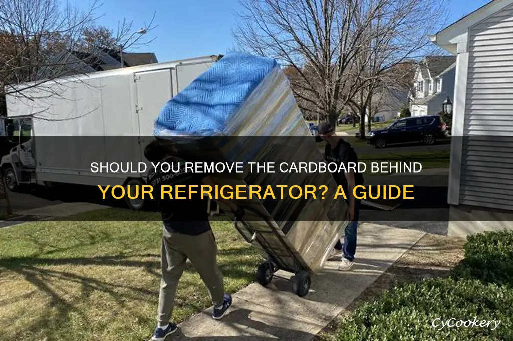 can people take off the cardboard behind a refrigerator