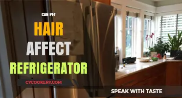 Pet Hair in Your Fridge: Causes, Risks, and Prevention Tips
