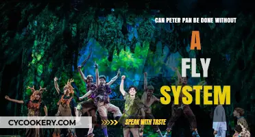 Peter Pan Without a Fly System: Is It Possible?