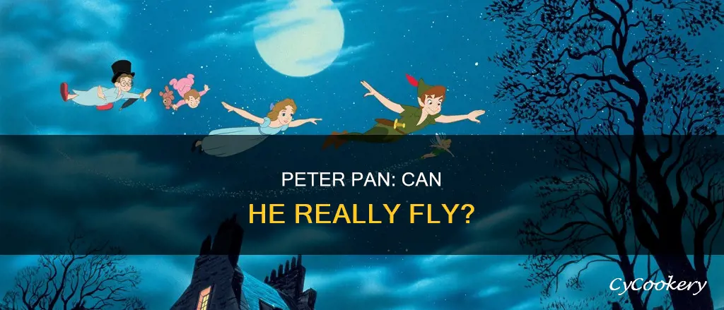 can peter pan fluy