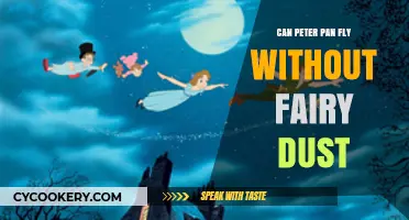 Peter Pan's Flight: The Magic Behind It