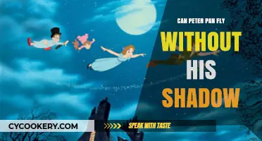 Peter Pan's Shadow: The Secret to Flight