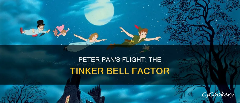 can peter pan fly without tinker bell