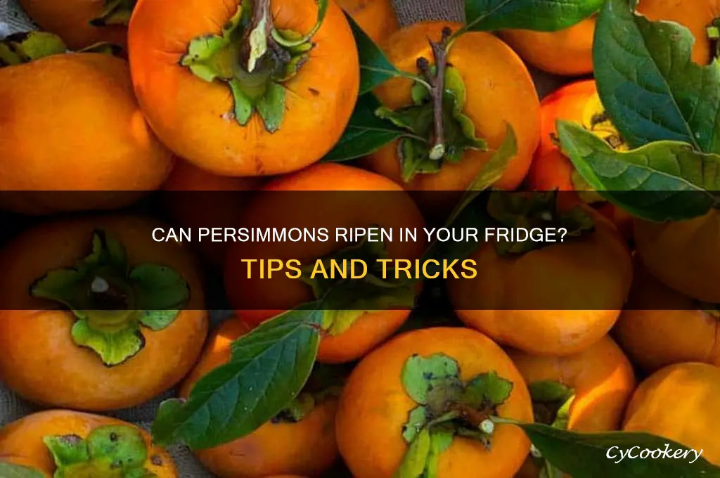can pewrsimmobs be ripebed ib your refrigerator