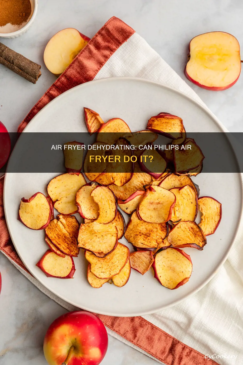 can philips air fryer dehydrate food