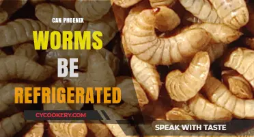 Refrigerating Phoenix Worms: Best Practices for Storage and Care
