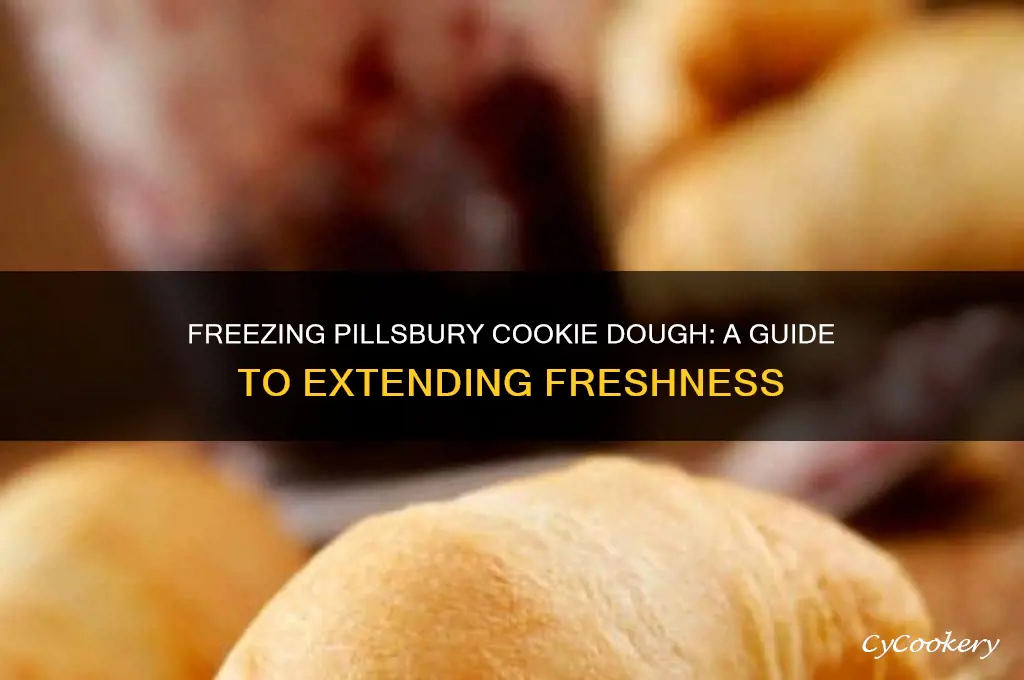 can pillsbury refrigerated cookie dough be frozen