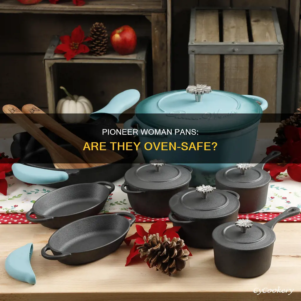 can pioneer woman pans go in oven