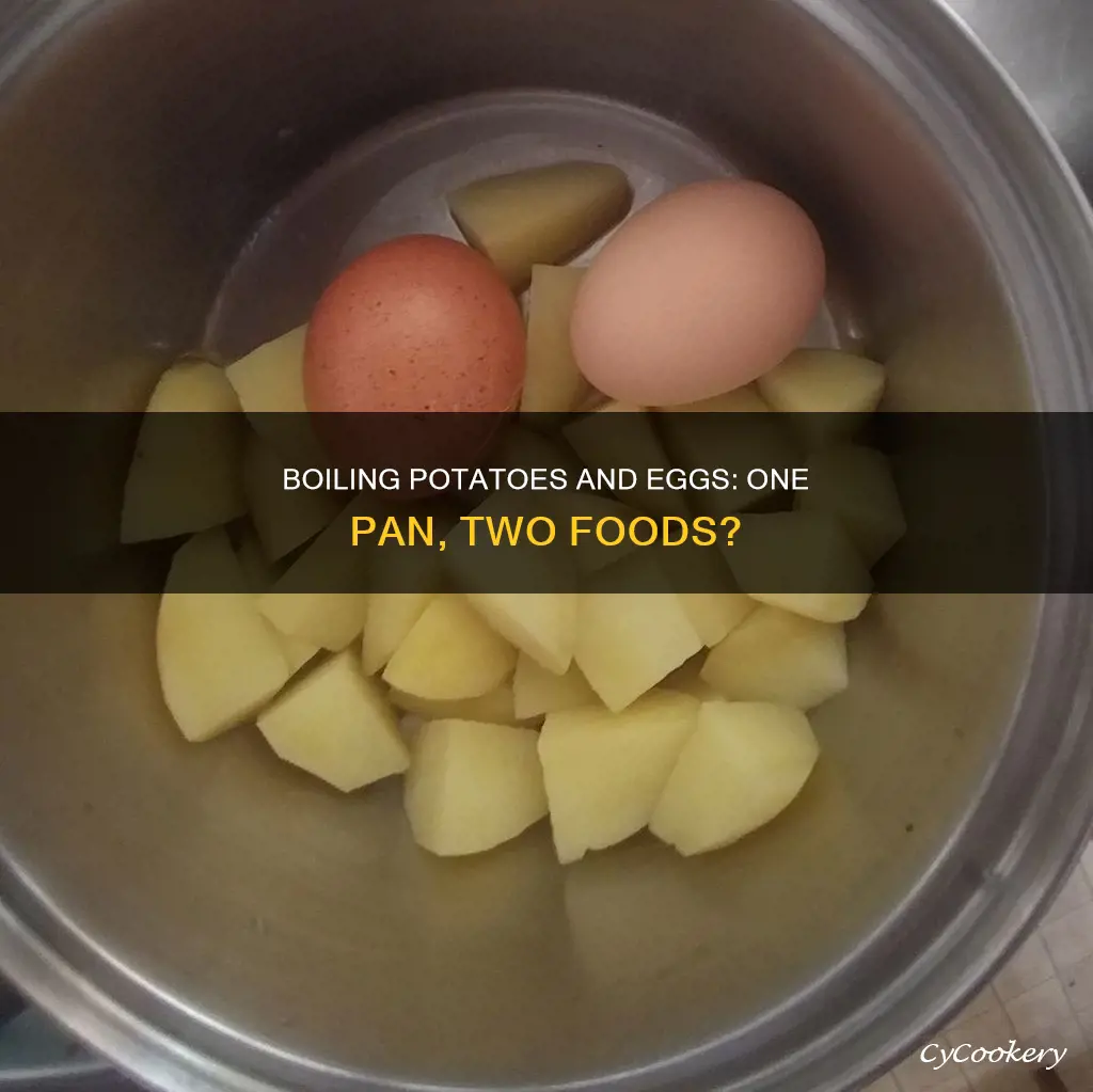 can pitatoes and eggs be boiled in the same pan