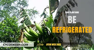 Refrigerating Plantains: Best Practices for Ripening and Storage