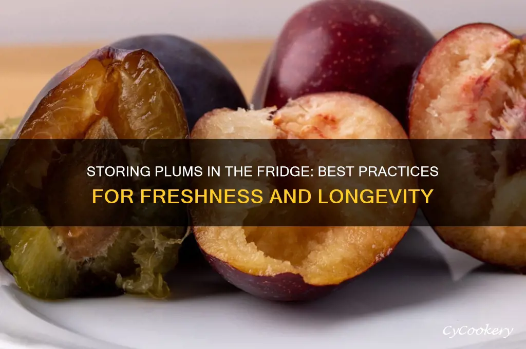 can plums be stored in refrigerator