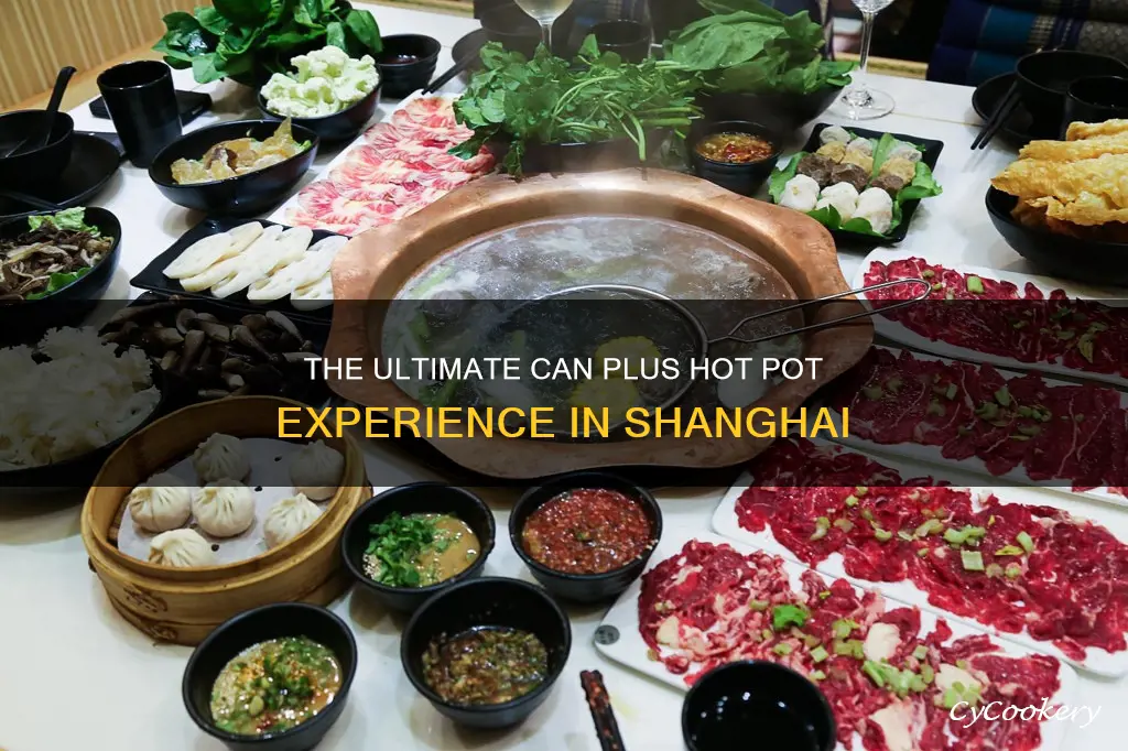 can plus hot pot shanghai