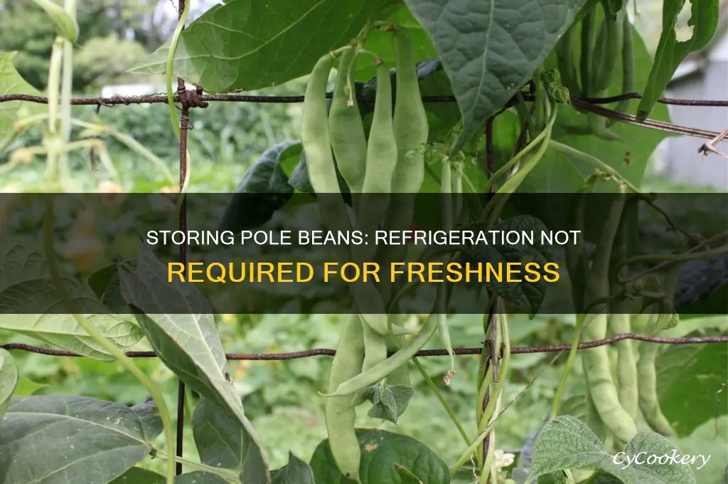 can pole beans be stored out of refrigerator