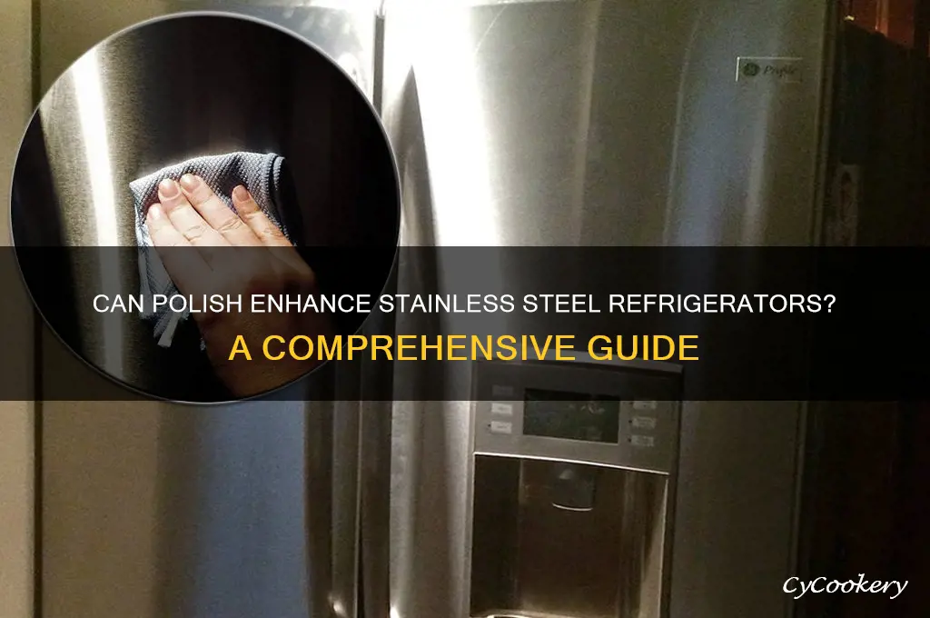 can polish work on stainless steel refrigerators