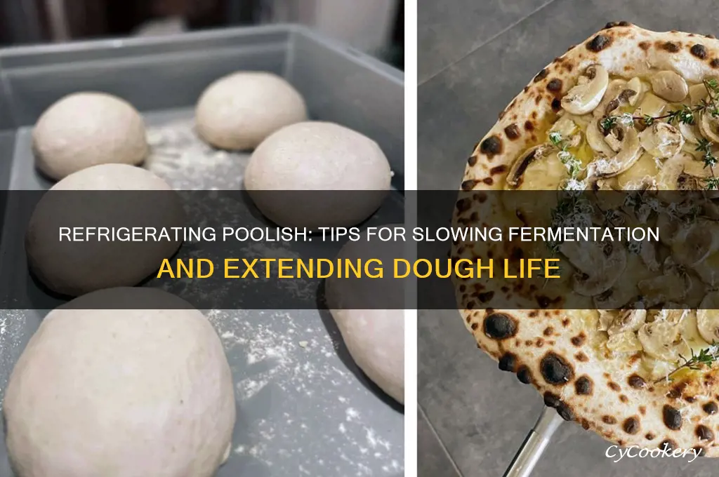 can poolish be refrigerated