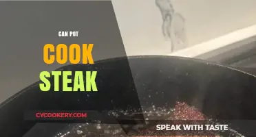 The Perfect Steak: Can Pot Cooking Deliver?