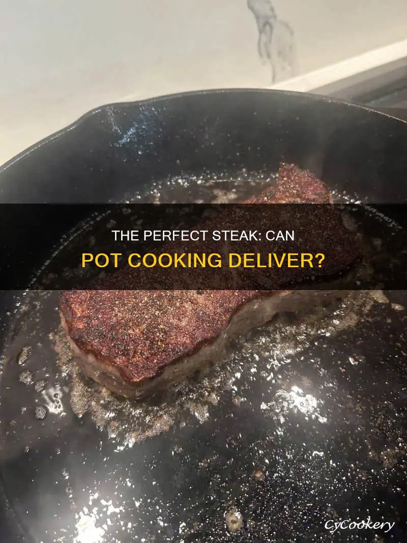 can pot cook steak