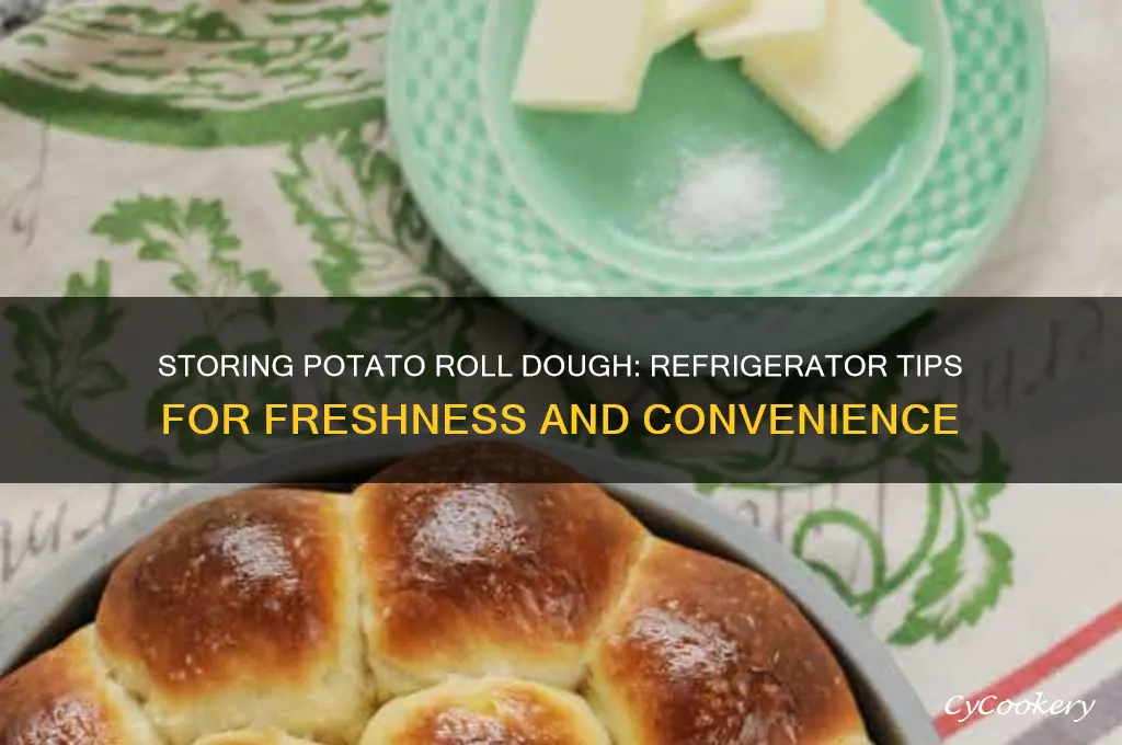 can potato roll dough be store in the refrigerator