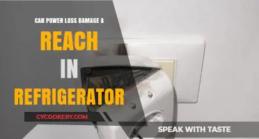 Power Outage Risks: Can Reach-In Refrigerators Sustain Damage?