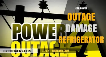 Power Outage Risks: Can Your Refrigerator Survive the Blackout?