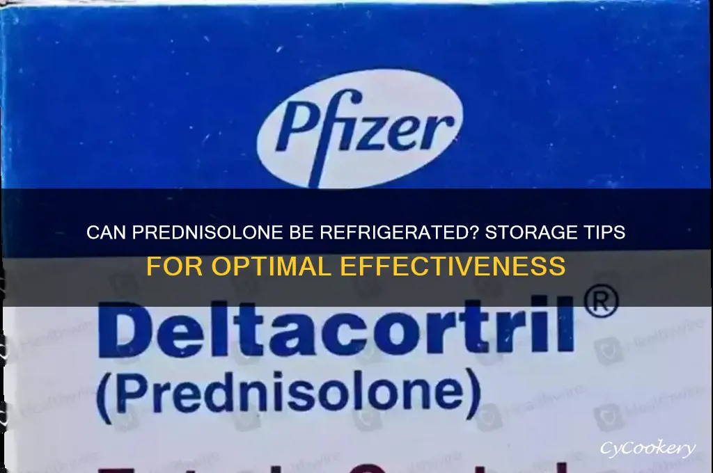 can prednisolone be refrigerated