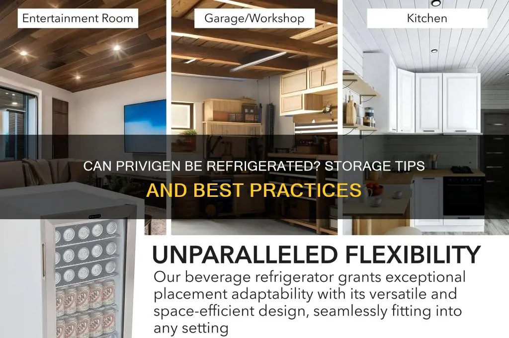 can privigen be refrigerated