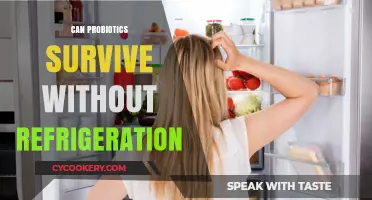 Do Probiotics Need Refrigeration? Shelf-Stable vs. Refrigerated Strains Explained
