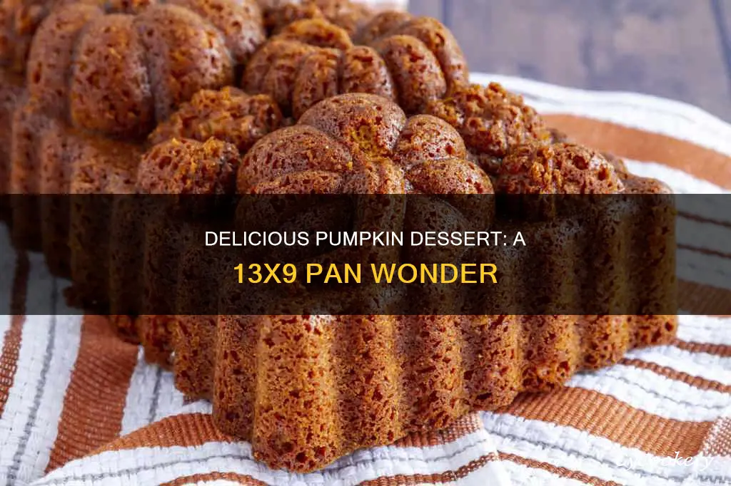 can pumpkin dessert made in a 13x9 pan