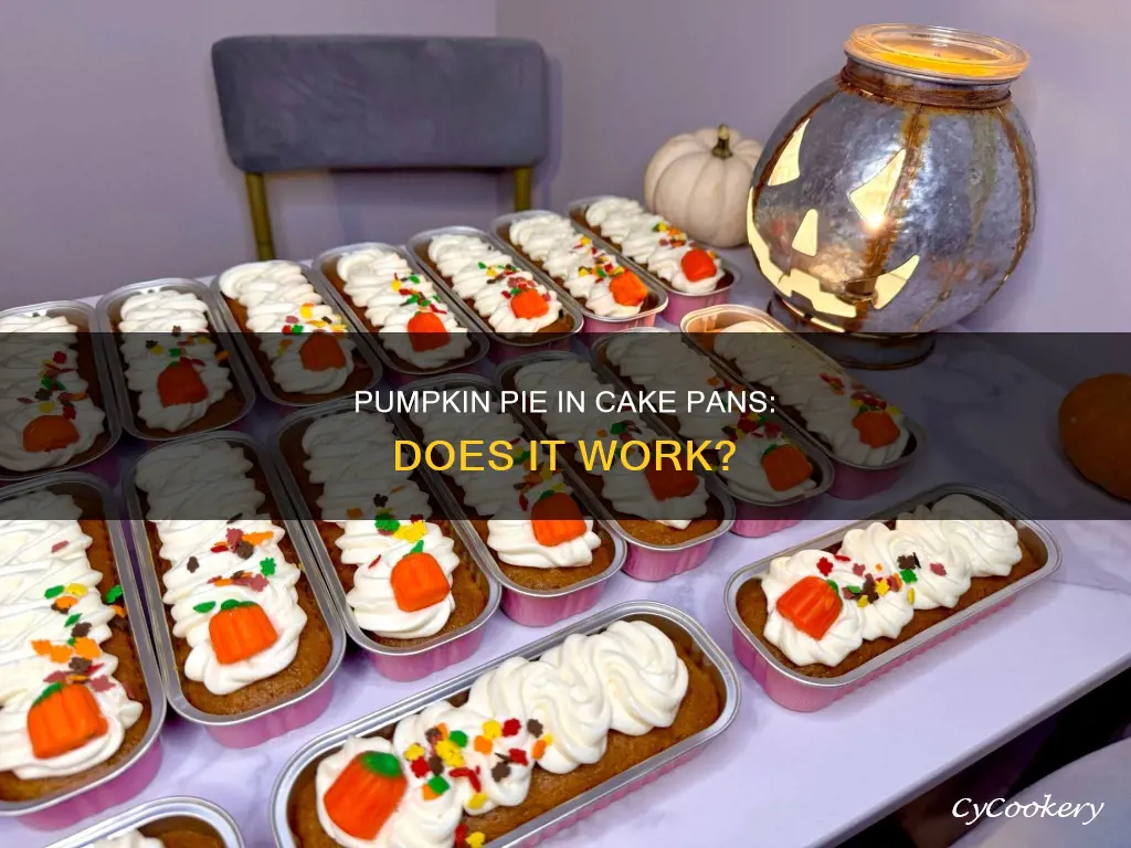 can pumpkin pie cook in round cake pans