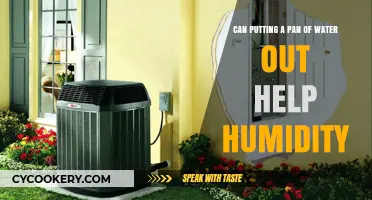 How Water Can Increase Humidity in Your Home